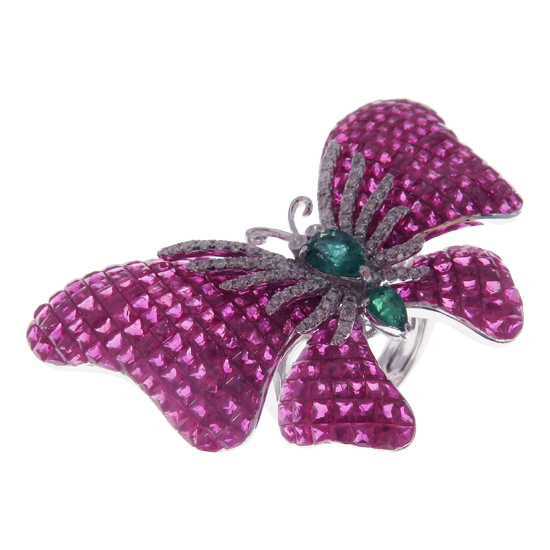 Butterfly Collection